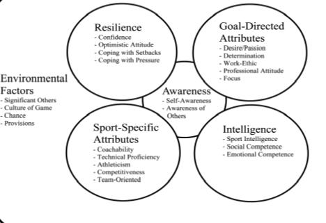 Figure 1. Successful framework in the development of young players  to experienced training coaches.